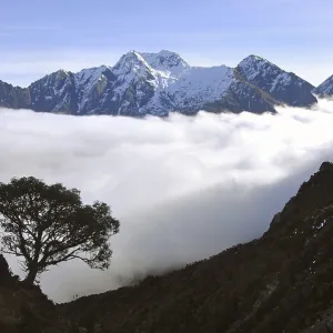 Rugged ranges in South Westland's Southern Alps