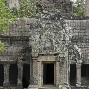 Ruins at Ta Prohm Temple, Siem Reap Province