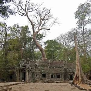 Ruins at Ta Prohm Temple, Siem Reap Province Ruins at Ta Prohm Temple, Siem Reap Province