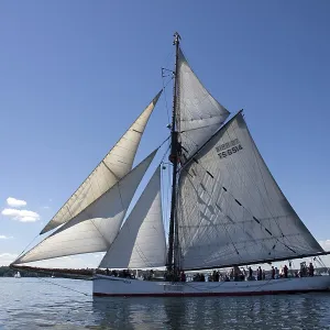 Rum Regatta in Flensburg - International Meeting of Historic Sailing Vessels - Museumshafen Flensburg e