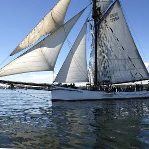 Rum Regatta in Flensburg - International Meeting of Historic Sailing Vessels - Museumshafen Flensburg e