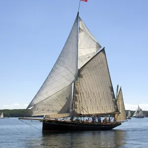 Rum Regatta in Flensburg - International Meeting of Historic Sailing Vessels - Museumshafen Flensburg e Rum Regatta in Flensburg - International Meeting of Historic Sailing Vessels - Museumshafen Flensburg e