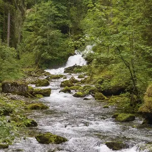 A rushing river with a small waterfall