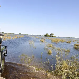 On safari with a 4x4 Landrover in the Okavango Delta swamps On safari with a 4x4 Landrover in the Okavango Delta swamps