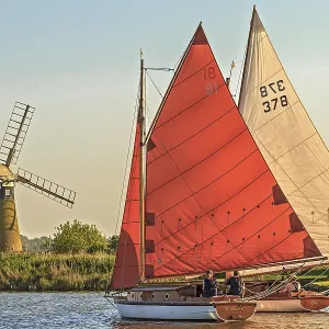 Sailing Boats On The Broads Norfolk UK Print