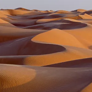 The sand dunes of the Wahiba Sands desert The sand dunes of the Wahiba Sands desert