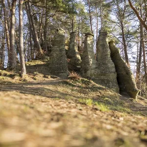 Sandstone formation in forest with trees and warm sunlight Sandstone formation in forest with trees and warm sunlight