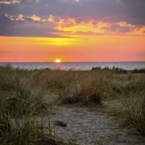 Sandy beach beach with dune grass