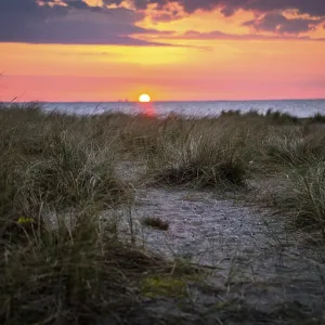 Sandy beach beach with dune grass