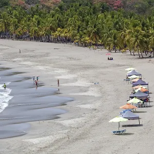 Sandy beach with palm trees, Playa Carrillo