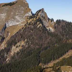 Sankt Wolfgang, Vormaueralm with Schafberg