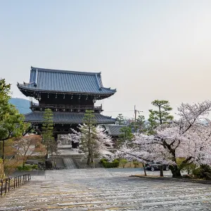 Sanmon Gate in evening light with blooming cherry trees Sanmon Gate in evening light with blooming cherry trees