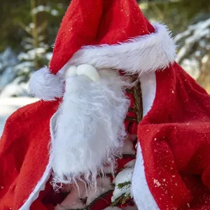 The Santa Claus costume with beards hangs on the spruce in the winter forest The Santa Claus costume with beards hangs on the spruce in the winter forest