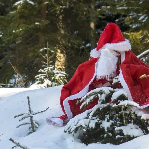 The Santa Claus costume with beards hangs on the spruce in the winter forest The Santa Claus costume with beards hangs on the spruce in the winter forest