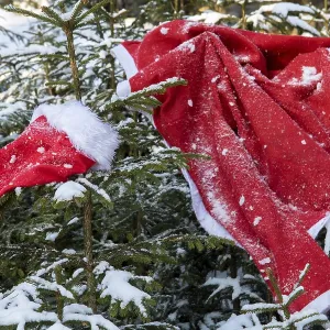 The Santa Claus costume hangs on the spruce in the winter forest The Santa Claus costume hangs on the spruce in the winter forest