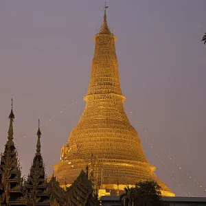 The scaffolded Shwedegon Pagoda The scaffolded Shwedegon Pagoda