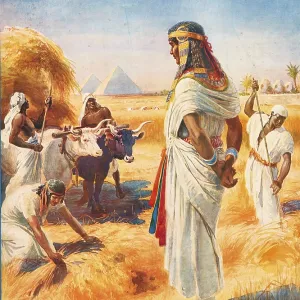 Scene from the biblical story, the rich harvest in Egypt