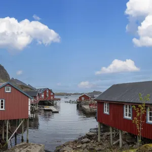 Scenic fishing village A in Lofoten Islands with authentic fishermen sheds and museum