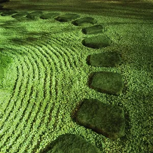 Scenic Japanese zen garden by nigh with acid green illumination