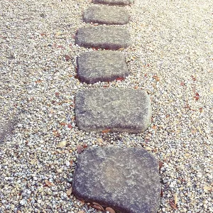 Scenic stone way in Japanese zen garden