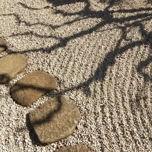 Scenic tree shadow in Japanese zen garden