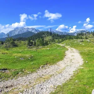 Scenic view of a path winding through lush green meadows in logarska dolina