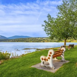 Scenic view of shuswap lake with a bench in the foreground Scenic view of shuswap lake with a bench in the foreground