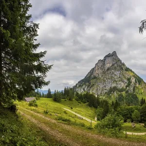 Schartenalm with view of the Sparber