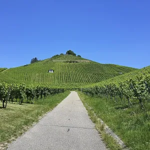 The Scheuerberg with its striking summit cross offers an outstanding view of Neckarsulm and the surrounding area The Scheuerberg with its striking summit cross offers an outstanding view of Neckarsulm and the surrounding area