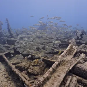 Derelict Shipwreck, Key Largo, Florida Keys Print