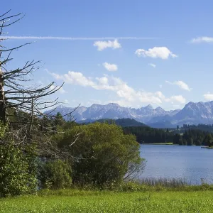 Schwaltenweiher near Seeg Allgau Allgaeu Bavaria Germany in front of the mountains of Thannheim<br> Schwaltenweiher Schwaltenweiher near Seeg Allgau Allgaeu Bavaria Germany in front of the mountains of Thannheim<br> Schwaltenweiher