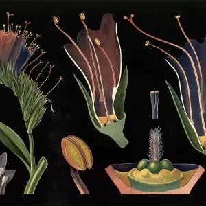 Scientific illustration with details Scientific illustration with details