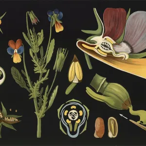 Scientific illustration with details Scientific illustration with details