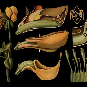 Scientific illustration with details Scientific illustration with details