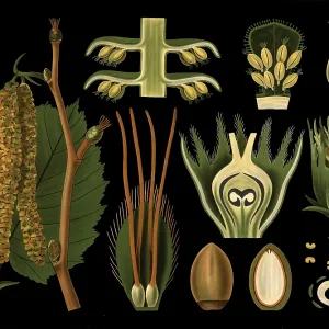 Scientific illustration with details Scientific illustration with details