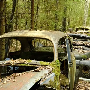 Scrap cars in a row in the forest Scrap cars in a row in the forest