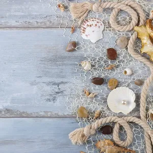 Sea shells in a fishnet, on wooden board Sea shells in a fishnet, on wooden board