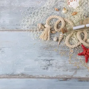 Sea shells in a fishnet, on wooden board Sea shells in a fishnet, on wooden board