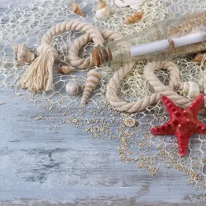 Sea shells in a fishnet, on wooden board Sea shells in a fishnet, on wooden board
