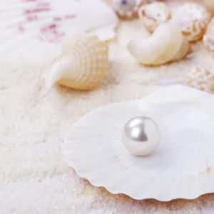 Sea shells and pearl on sand summer vacation background Sea shells and pearl on sand summer vacation background