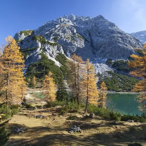 Seebensee in autumn, Tajakopf, Alps Seebensee in autumn, Tajakopf, Alps