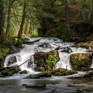 Selke Waterfall in the Harz Mountains Waterfall Selke Waterfall in the Harz Mountains Waterfall