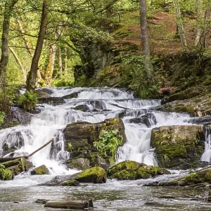 Selke Waterfall in the Harz Mountains Waterfall