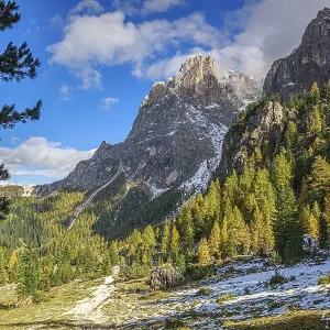 The Sella Group mountain landscape in the Alps with forest and snow under a sunny sky The Sella Group mountain landscape in the Alps with forest and snow under a sunny sky