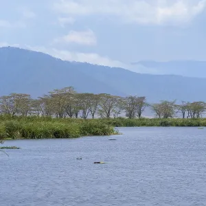 Serene lake with distant mountains and trees under a blue sky