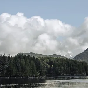 A serene view of mountains and forests reflected in a calm lake in Tofino A serene view of mountains and forests reflected in a calm lake in Tofino