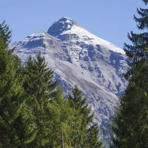 Serles mountain with forest and trees