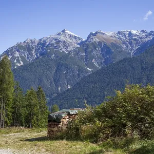 Serles mountain with forest and trees