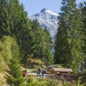 Serles Mountain Print, Stubai Valley, Tyrol, Austria