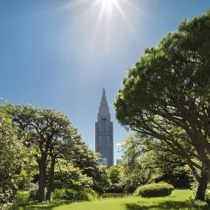 Shinjuku's Docomo tower overlooking the lake